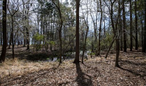 36-web-or-mls-DSC_8241