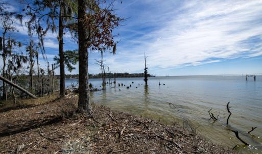 44-web-or-mls-DSC_8249