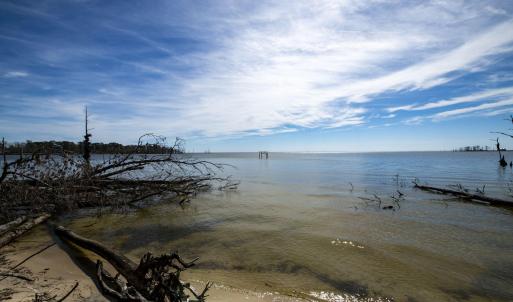 42-web-or-mls-DSC_8247