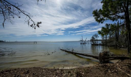 41-web-or-mls-DSC_8246