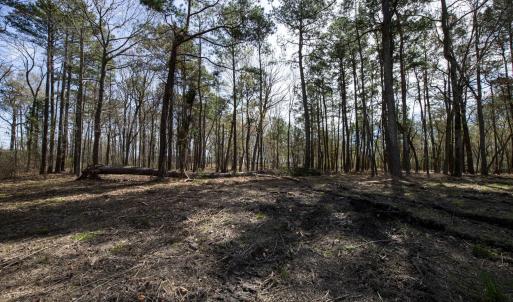 35-web-or-mls-DSC_8240