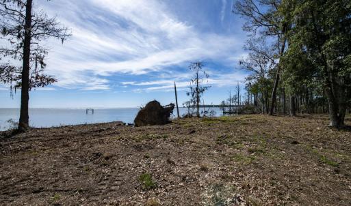 45-web-or-mls-DSC_8250