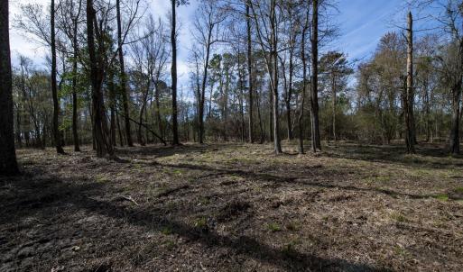 34-web-or-mls-DSC_8239