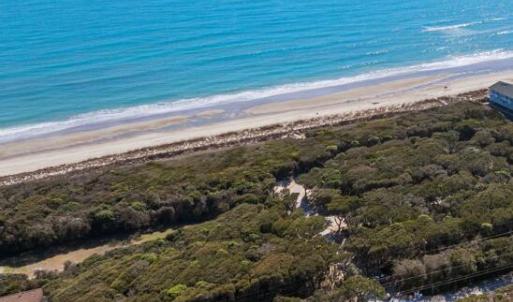 Where Maritime Forest Meets the Atlantic
