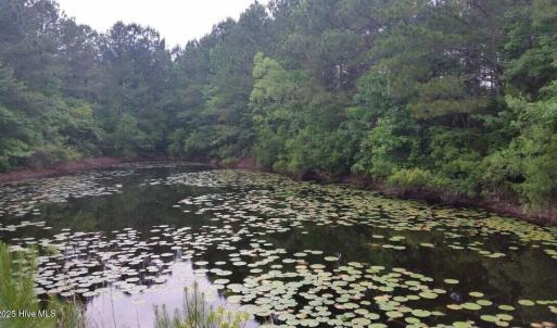 Pond View