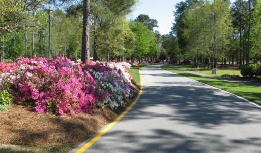 OR Entrance with Azaleas