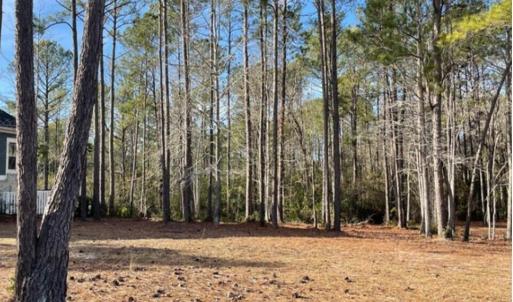 Lindgrove homesite Jan 25