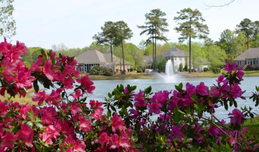 ORP fountain and azaleas