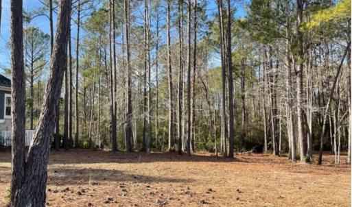 Lindgrove homesite Jan 25
