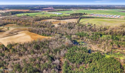 5-DJI_20260313105719_0054_D