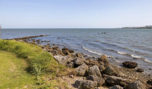 26-web-or-mls-_S3A0320