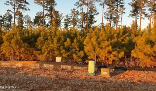 Lot 28 lot picture