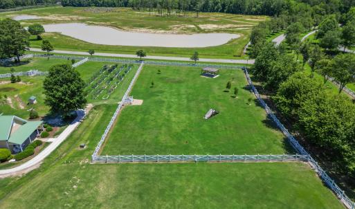 DogparkDrone1
