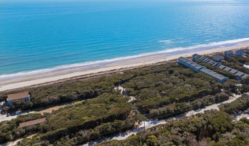 Where Maritime Forest Meets the Atlantic