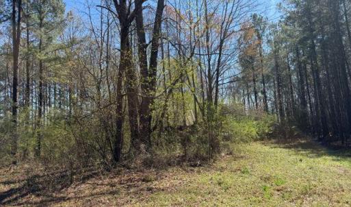 Photo Mar 17 2026, 12 24 41 PM resized