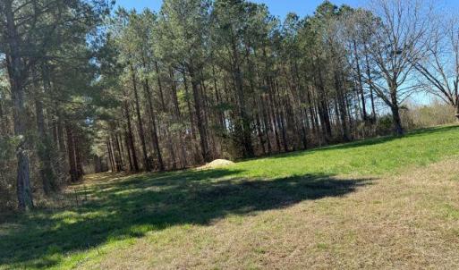 Photo Mar 17 2026, 12 23 15 PM resize