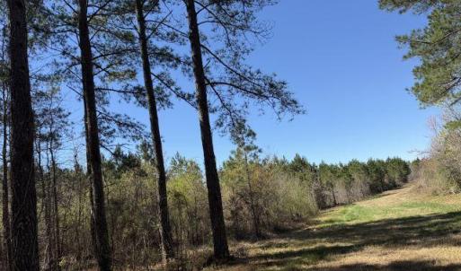 Photo Mar 17 2026, 12 25 16 PM resized