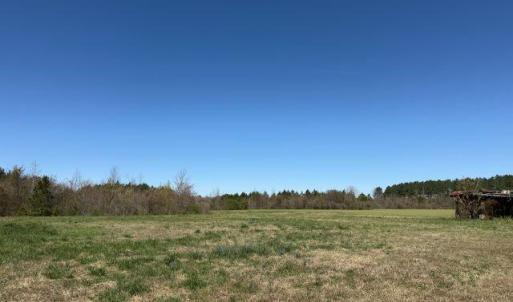 Photo Mar 17 2026, 12 29 44 PM resized