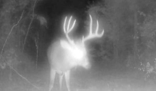 Photo Mar 29 2026, 11 09 40 AM (13)