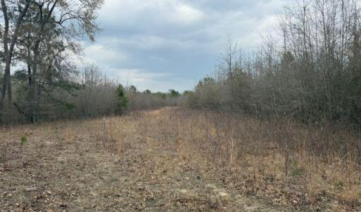 Photo Mar 27 2026, 2 52 23 PM resized