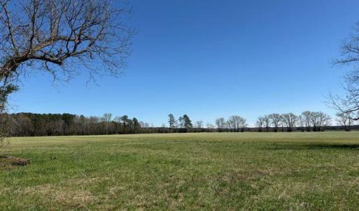 Photo Mar 17 2026, 12 44 51 PM resized