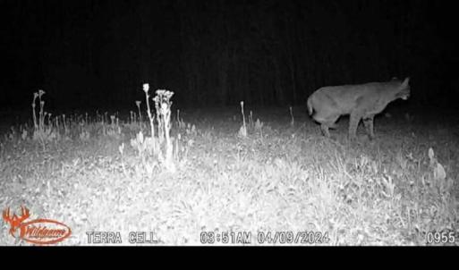 Photo Mar 29 2026, 11 09 40 AM (16)