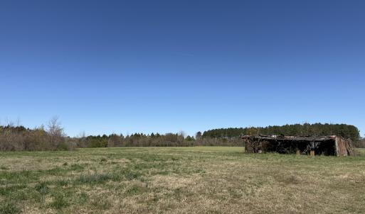 Photo Mar 17 2026, 12 29 46 PM