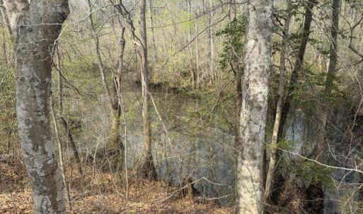 Photo Mar 27 2026, 2 17 11 PM resized