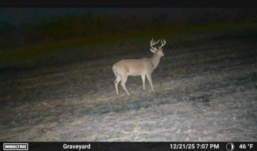 Photo Mar 29 2026, 11 09 40 AM (1)