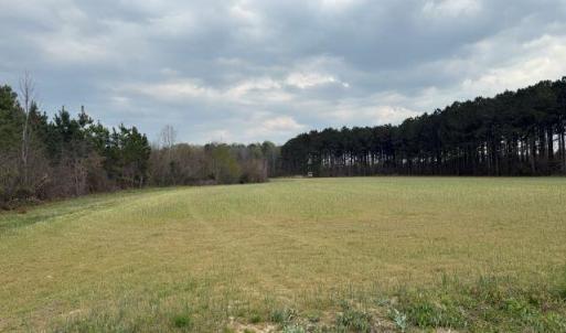 Photo Mar 27 2026, 3 05 27 PM resized