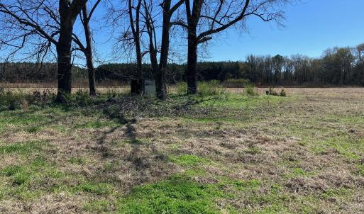 original-3BCAD265-97AE-40AD-B7BA-BC48826