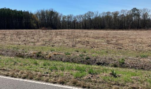 original-B870C60E-ED8F-43E8-85CA-3DD6652