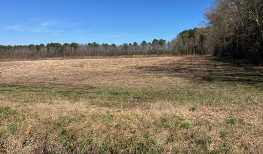 original-55FA6486-B94E-48B8-A5C4-5EA41D1