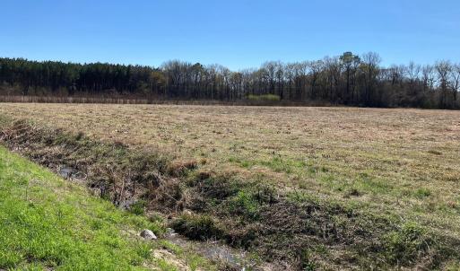 original-555C66D3-0B16-4C6A-9DC0-C278488