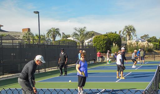 14 Pickleball