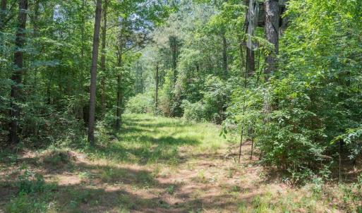 Photo #26 of Highway 42, Tarboro, NC 39.7 acres
