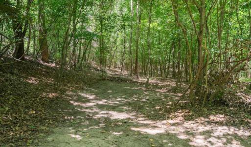 Photo #28 of Highway 42, Tarboro, NC 39.7 acres