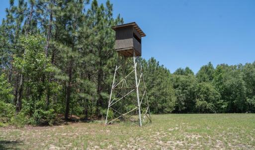 Photo #24 of Highway 42, Tarboro, NC 39.7 acres