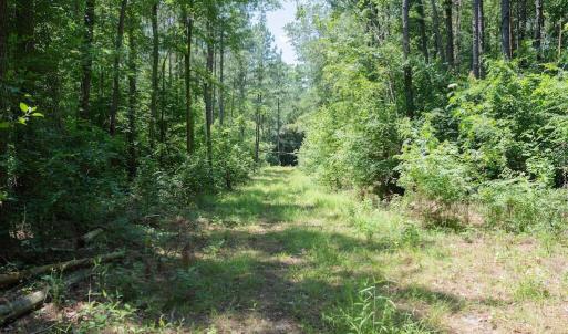 Photo #27 of Highway 42, Tarboro, NC 39.7 acres
