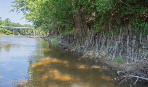 Photo #32 of Highway 42, Tarboro, NC 39.7 acres