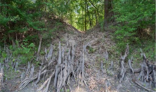 Photo #33 of Highway 42, Tarboro, NC 39.7 acres