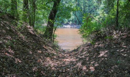 Photo #29 of Highway 42, Tarboro, NC 39.7 acres