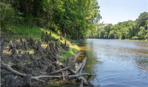 Photo #30 of Highway 42, Tarboro, NC 39.7 acres