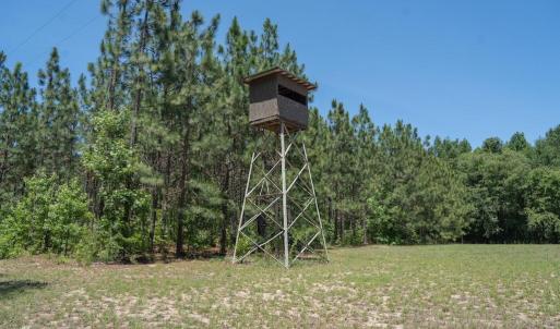 Photo #23 of Highway 42, Tarboro, NC 39.7 acres