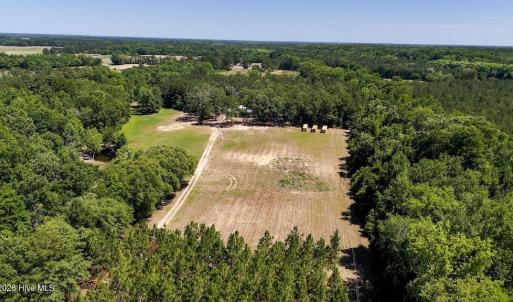 Photo #37 of Highway 42, Tarboro, NC 39.7 acres