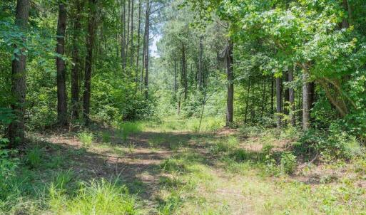 Photo #25 of Highway 42, Tarboro, NC 39.7 acres