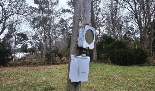 251 ALLIGATOR LOOP 6 ELECTRIC 2