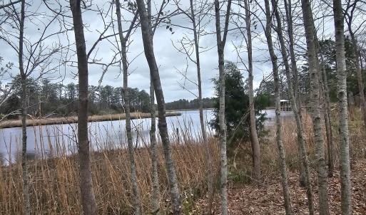 251 ALLIGATOR LOOP 4 RIGHT WATER VIEW