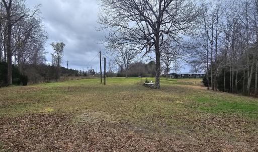 251 ALLIGATOR LOOP 2 LOOKING BACK TO THE
