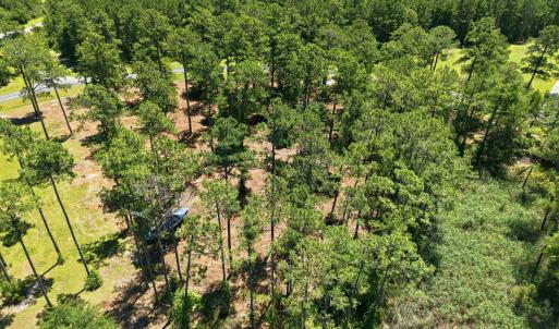 Photo #21 of 54 & 55 Shipwreck, Belhaven, NC 3.5 acres